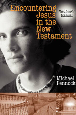 Cover of Encountering Jesus in the New Testament