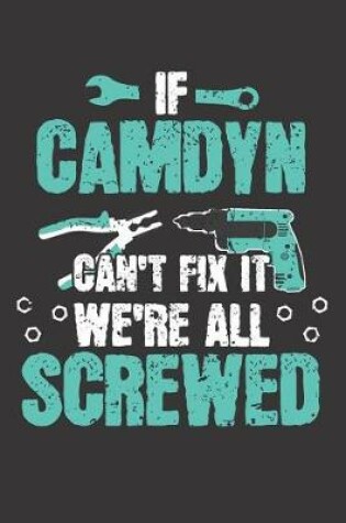 Cover of If CAMDYN Can't Fix It