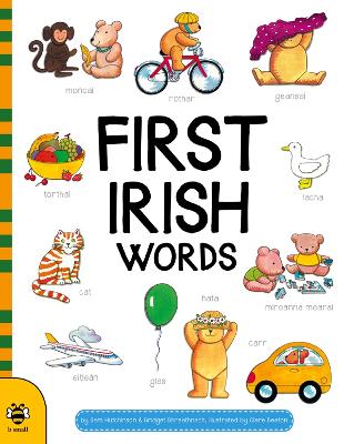 Book cover for First Irish Words