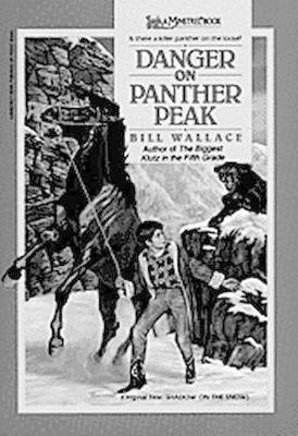 Book cover for Danger on Panther Peek