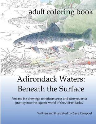 Book cover for Adirondack Waters