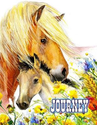 Book cover for Journey