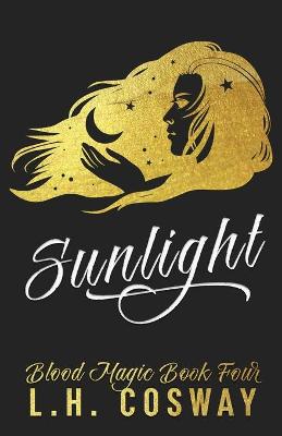 Book cover for Sunlight