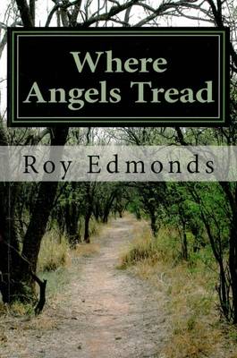 Book cover for Where Angels Tread