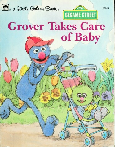 Book cover for Sesame Street