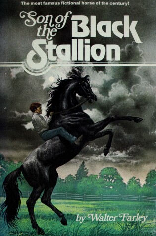 Cover of Son of Blk Stallion-Pa