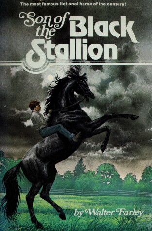 Book cover for Son of Blk Stallion-Pa