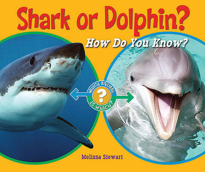 Book cover for Shark or Dolphin?