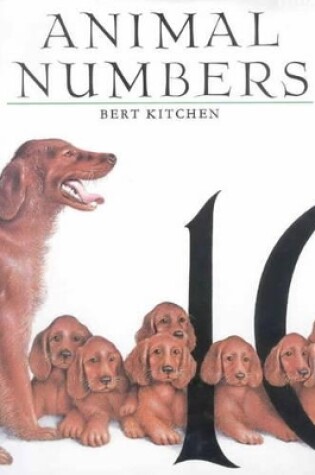 Cover of Animal Numbers