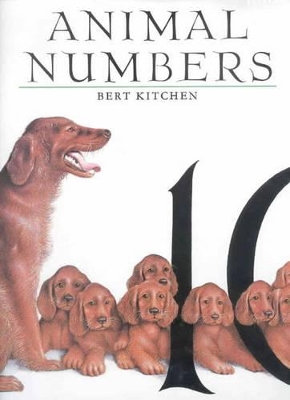 Book cover for Animal Numbers