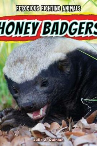 Cover of Honey Badgers