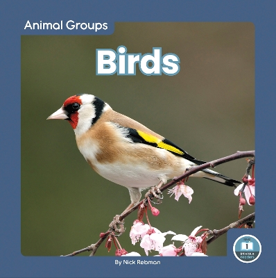Book cover for Animal Groups: Birds