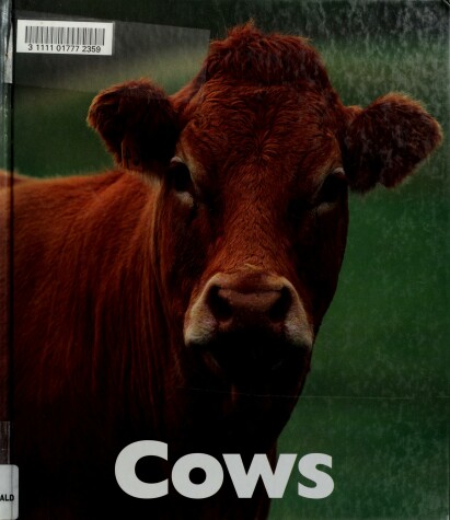 Book cover for Cows
