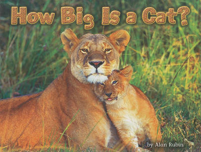 Book cover for How Big Is a Cat?