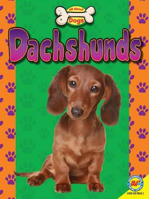 Book cover for Dachshunds
