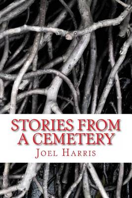 Book cover for Stories From A Cemetery