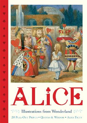 Book cover for Alice Pull-Out Prints