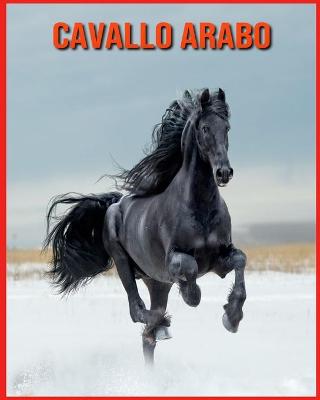 Book cover for Cavallo Arabo