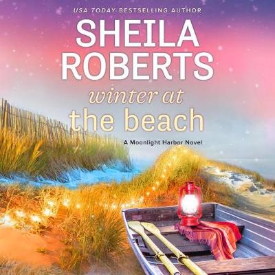 Book cover for Winter at the Beach