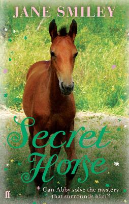 Book cover for Secret Horse