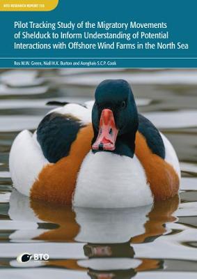 Book cover for Pilot tracking study of the migratory movements of Shelduck to inform understanding of potential interactions with offshore wind farms in the North Sea