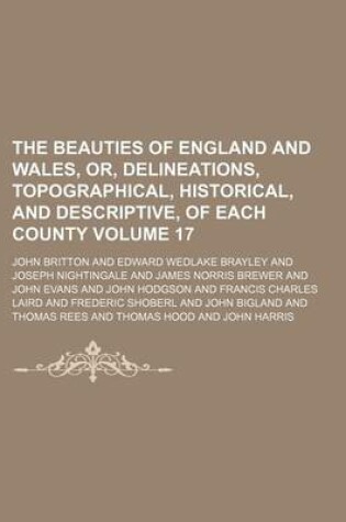 Cover of The Beauties of England and Wales, Or, Delineations, Topographical, Historical, and Descriptive, of Each County Volume 17