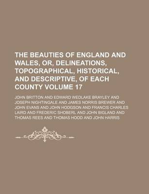Book cover for The Beauties of England and Wales, Or, Delineations, Topographical, Historical, and Descriptive, of Each County Volume 17