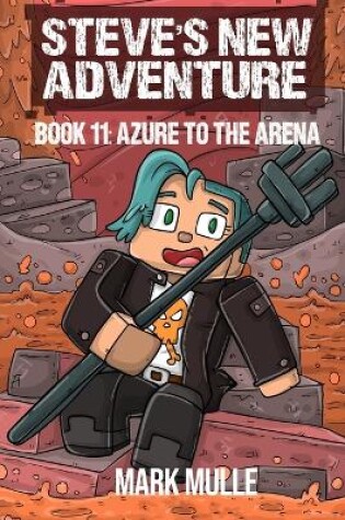 Cover of Steve's New Adventure Book 11