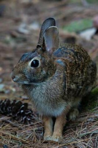 Cover of A Wild Bunny Rabbit Hopping in the Woods