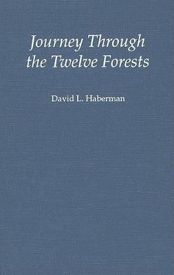 Book cover for Journey Through the Twelve Forests