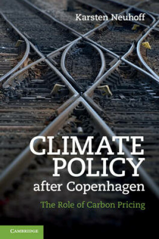 Cover of Climate Policy after Copenhagen