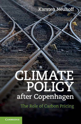 Book cover for Climate Policy after Copenhagen