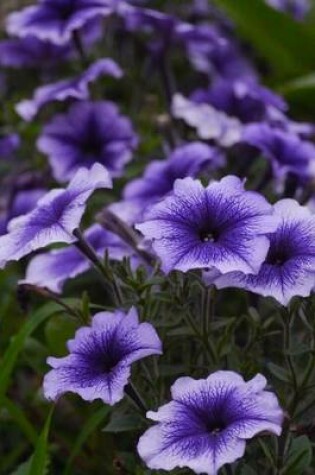 Cover of Purple Blossoms in the Garden Flower Journal