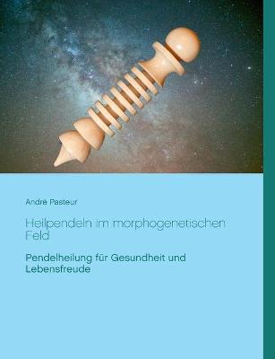 Book cover for Heilpendeln im morphogenetischen Feld