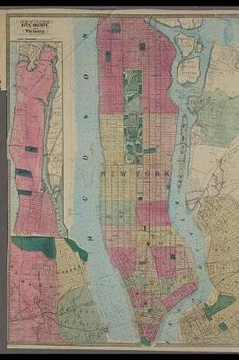 Book cover for An Antique 1864 Map of New York City, County Journal