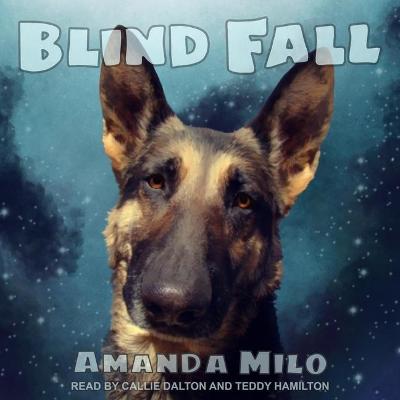 Book cover for Blind Fall