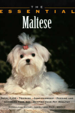 Cover of The Essential Maltese