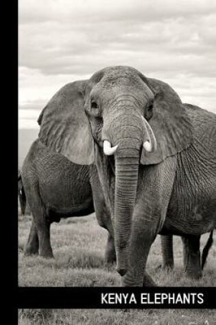 Cover of kenya elephants
