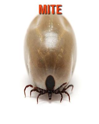 Book cover for Mite