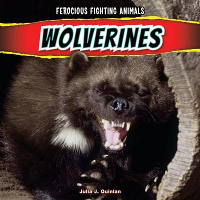 Book cover for Wolverines