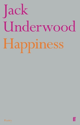 Book cover for Happiness