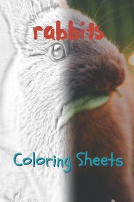 Book cover for Rabbit Coloring Sheets