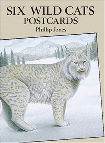 Book cover for Six Wild Cats Postcards