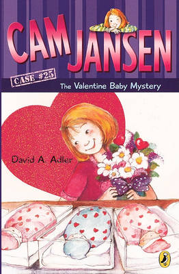 Book cover for The Valentine Baby Mystery