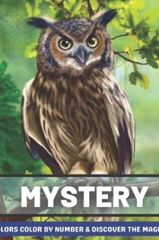 Cover of Mystery Colors