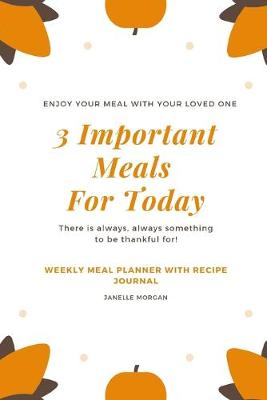 Book cover for 3 Important Meals For Today