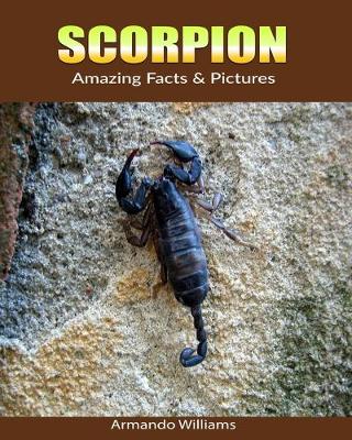 Book cover for Scorpion