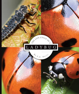 Book cover for The Life Cycle of a Ladybug