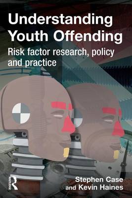 Book cover for Understanding Youth Offending