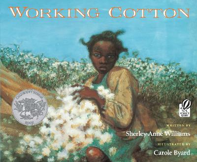 Book cover for Working Cotton